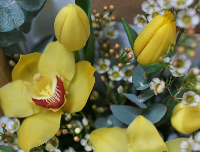 Composition in an oasis with yellow tulips, yellow orchids and waxflower photo